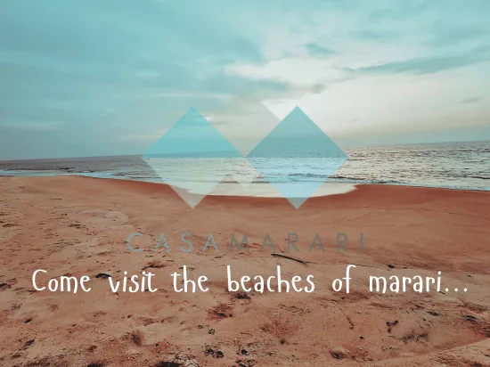 beaches of marari and chethy
